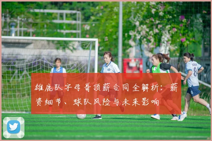 雄鹿队字母哥顶薪合同全解析：薪资细节、球队风险与未来影响
